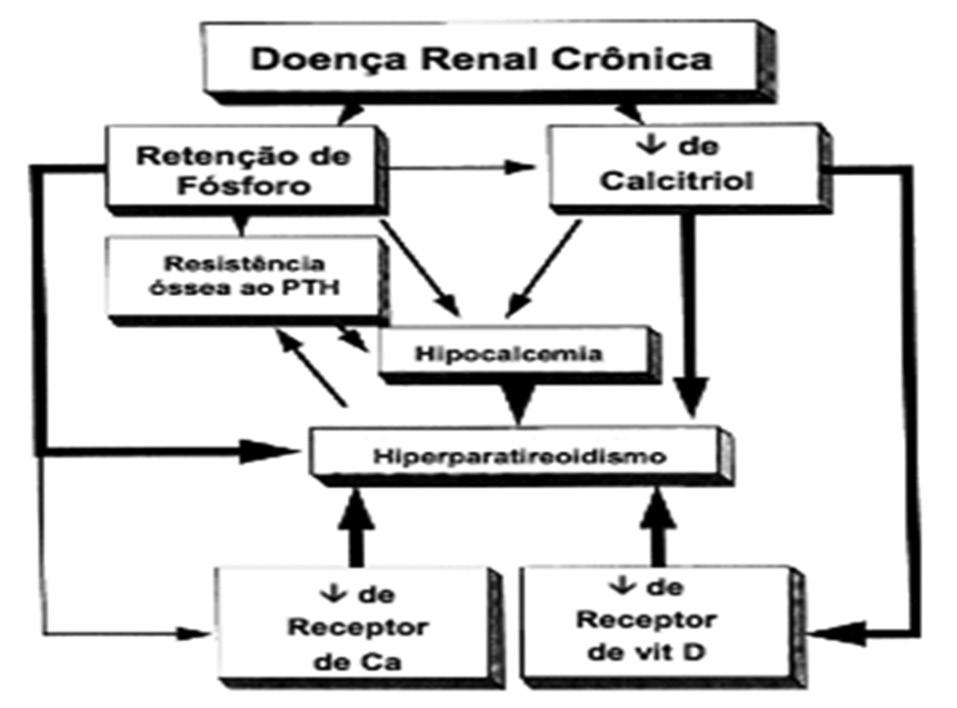 úteis, principalmente quando o paciente vai submeter-se à paratireoidectomia (PTx), embora, na impossibilidade de realização dos mesmos, isto não constitui impedimento ao procedimento cirúrgico;