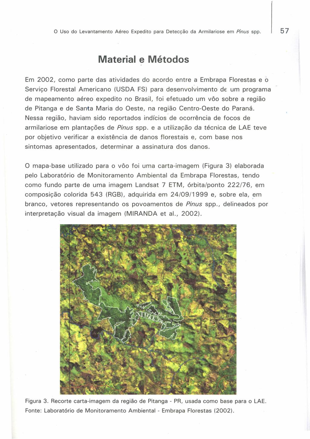 o Uso do Levantamento Aéreo Expedito para Detecção da Armilariose em Pinus spp.