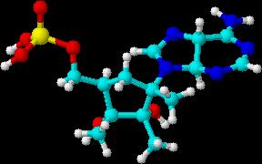 ; iggs, G.A. (1998) Curr. pin. Chem. Biol.