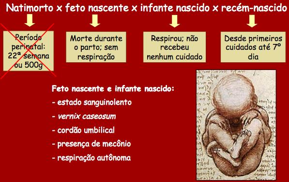 O crime de infanticídio ü Art. 123 - Matar, sob a influência do estado puerperal, o próprio filho, durante o parto ou logo após.