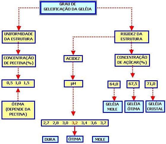 RESISTÊNCIA DA GELÉIA MÉTODOS DE FABRICAÇÃO DE GELÉIA Podemos dizer, que são dois os métodos básico para a fabricação de geléia: 3.