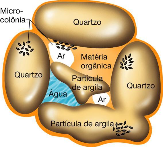 Figura 9.