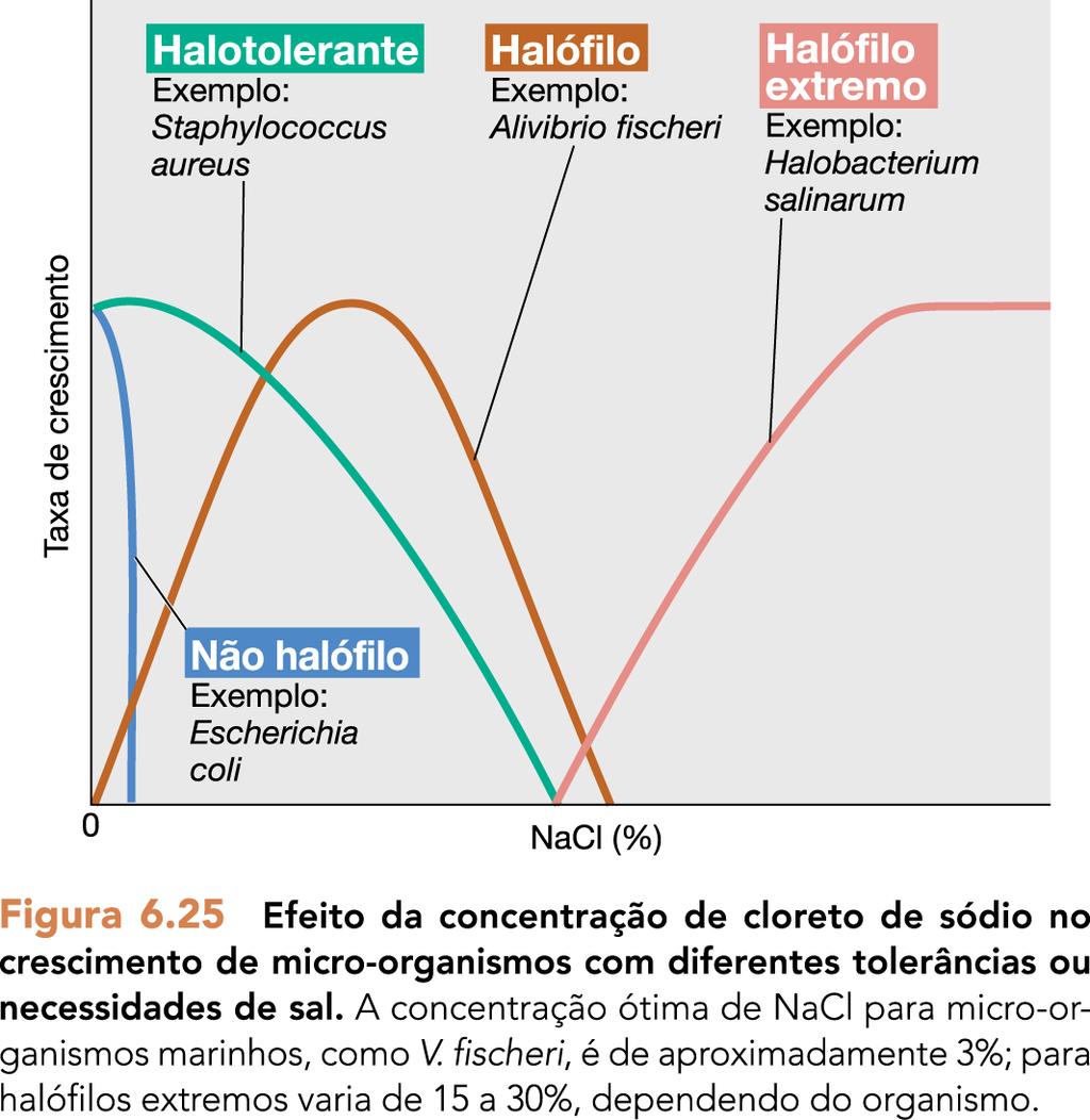 Fatores associados ao crescimento microbiano halófilos halotolerantes halófilos extremos