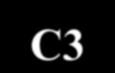 C3 - Primeiro produto estável possui 3 carbonos -