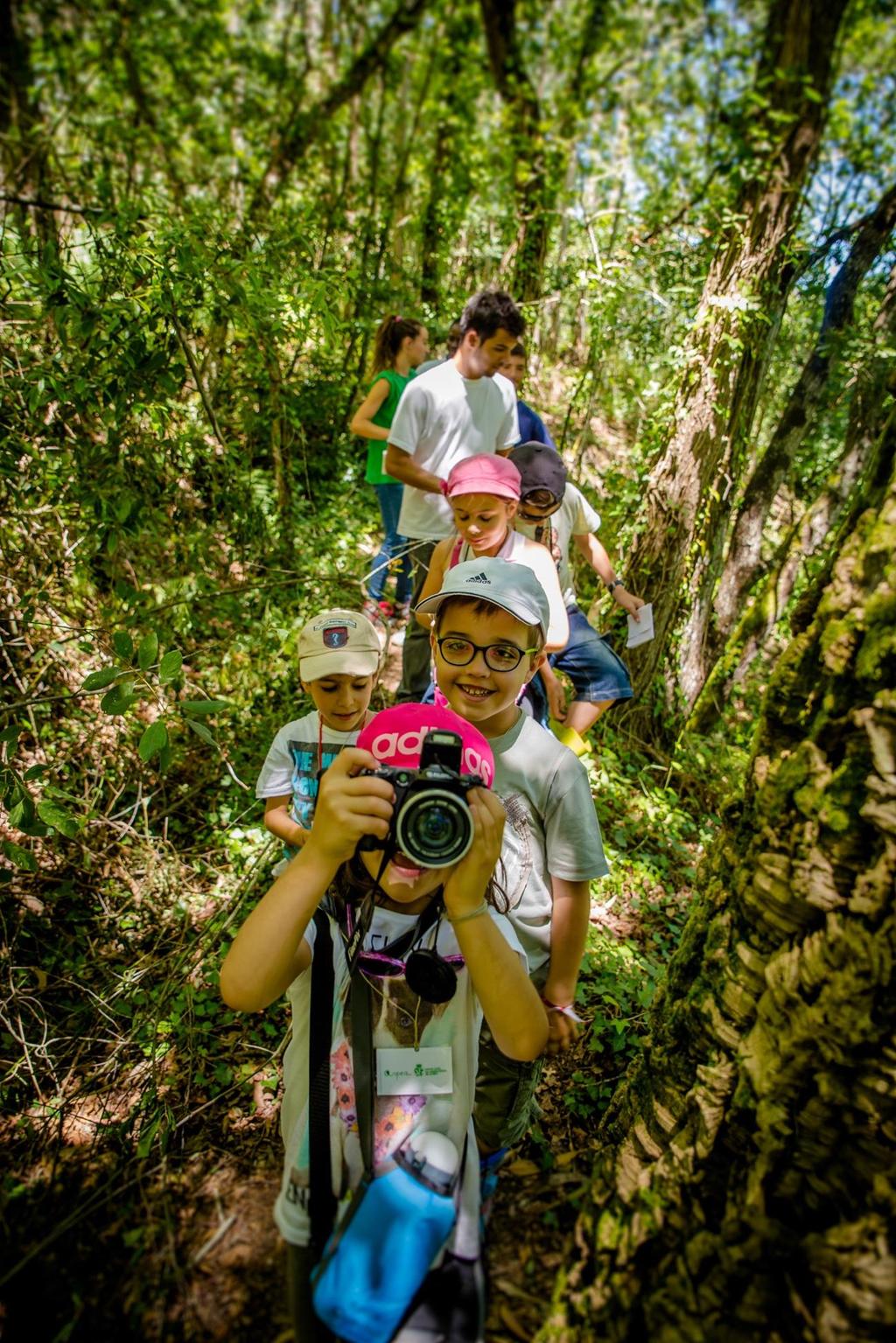 TRILHO DE DESCOBERTA DA MATA Áreas Temáticas / Conteúdos: Flora autóctone e exótica; fauna; floresta; ecologia Breve descrição da atividade: Percurso pedestre circular de baixa dificuldade efectuado