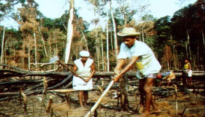 Hidrelétricas Soja Povos Indígenas Mineração Algodão