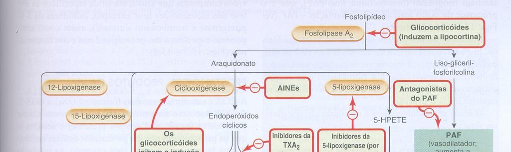 10 - Assinale a alternativa que corresponde ao mecanismo de acao do AAS, destacado na figura abaixo.