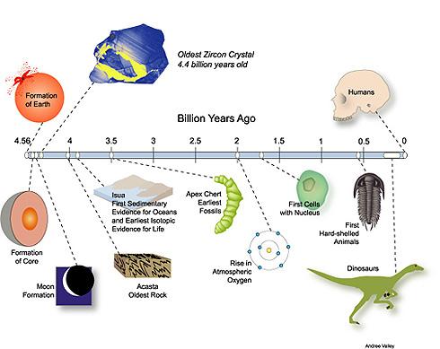 Evolução