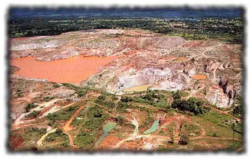 Corte das florestas, expansão agrícola e