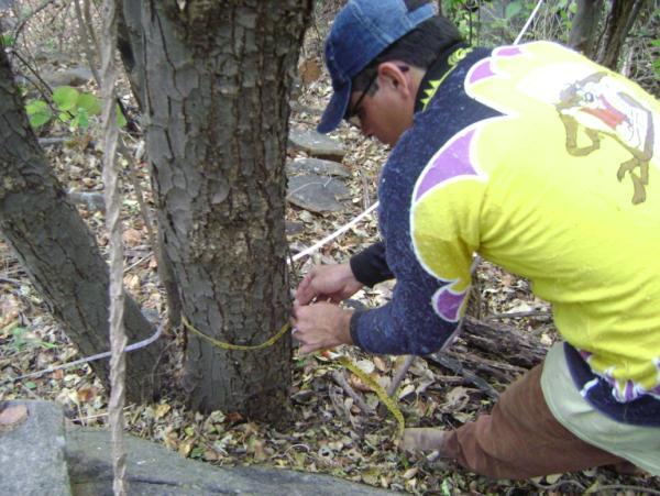 22 Para caracterizar a estrutura da vegetação, foram calculados, para cada espécie, os parâmetros fitossociológicos: Densidade Relativa; Frequência