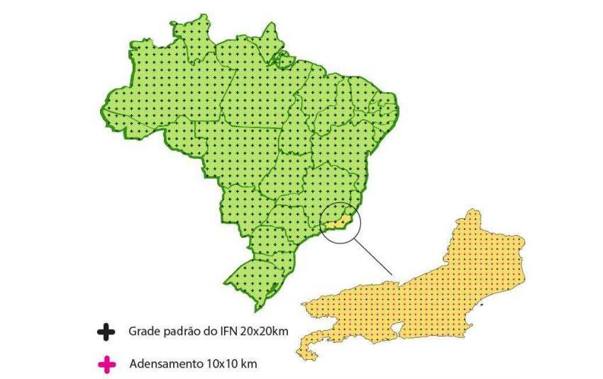 Inventário Florestal Nacional (Brasil)