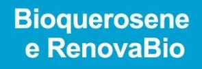 RenovaBio