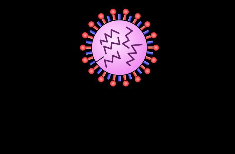 Classificação dos vírus Influenza A