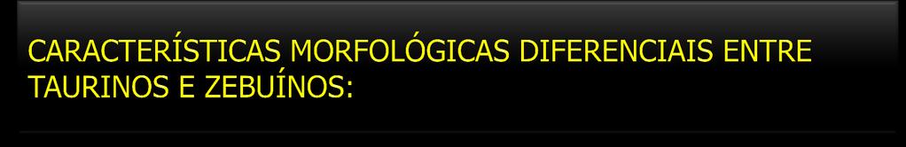 CARACTERÍSTICA TAURINOS ZEBUÍNOS GIBA OU CUPIM Sem (exceto o ) Maior nos ;rombóide+gordura CABEÇA Curta e larga Longa e estreita ORELHAS Pequena, horizontais, pontas arredondadas Longas e