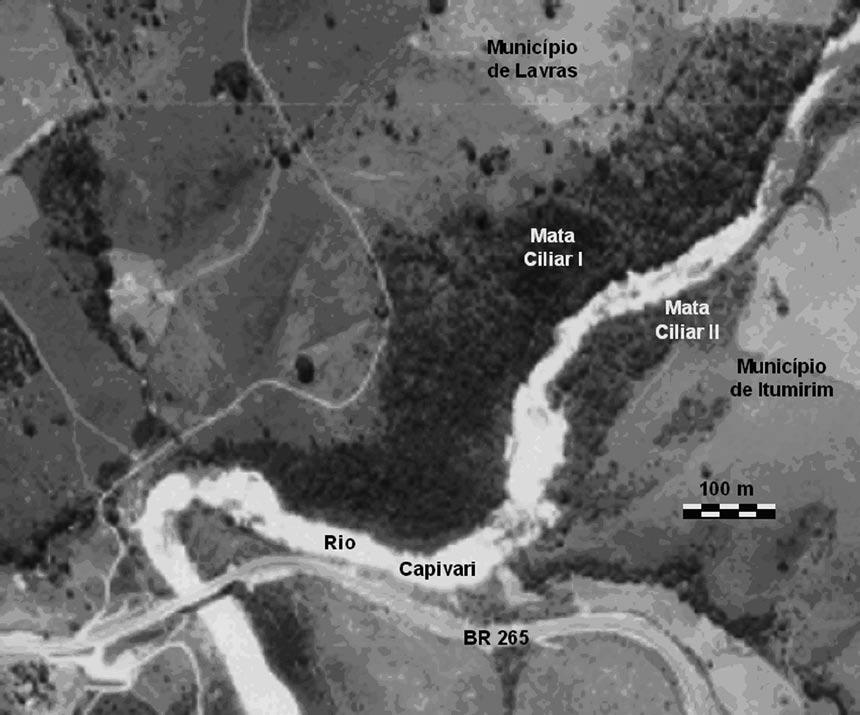42 Coaiba em fragmentos de mata ciliar Figura 1 Vista aérea das matas estudadas. (Aerial view of forests studied).