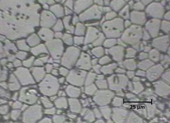 Figura 3: Microestrutura da amostra de ferrita de CoFe2O4 sem aditivo sinterizada a 1350 C por 6 horas (MO) Baseando-se nos resultados obtidos com a ferrita de Co, foram sintetizadas amostras de