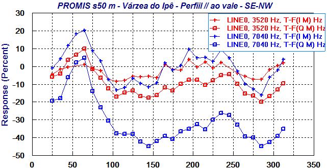 As anomalias em X-60 m do perfil na encosta e X-125 m do perfil no vale definem a mesma estrutura de direção NNW-ESSE. No perfil do vale ocorre uma estrutura em X-275 m, com mergulho para NW.