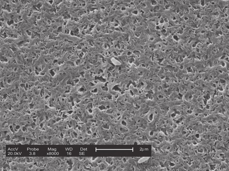 Analisando as imagens, podese verificar que as membranas obtidas a partir dos nanocompósitos apresentam uma maior quantidade de poros e distribuição desses de maneira mais uniforme quando comparado à