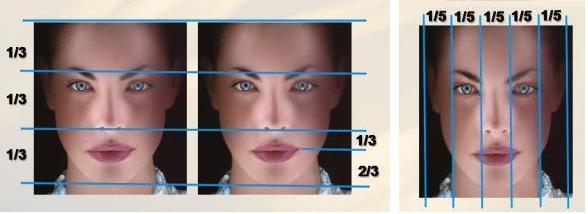 A diferença está nos formatos das partes de cada rosto, tornando cada individuo único Se o tamanho vertical do rosto for 18 cm, a largura será 12 cm Se o