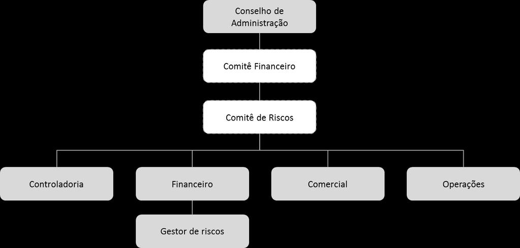 3. Estrutura e Atribuições 3.1. Organograma Nesta seção, apresenta-se o organograma da empresa referente ao processo de tomada de decisão de gerenciamento de riscos.
