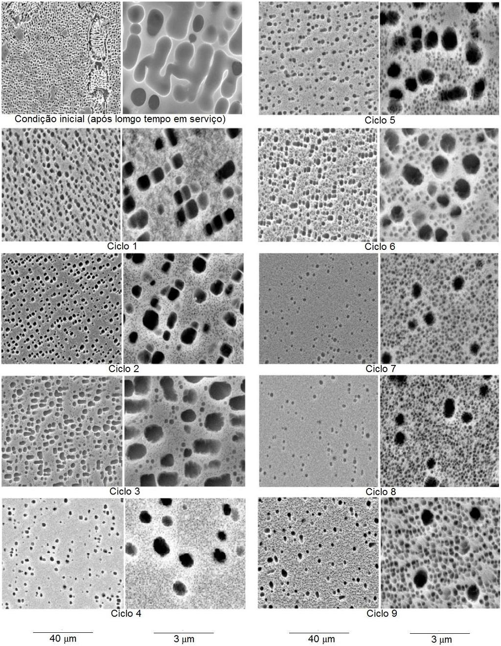 112 Figura 2.53- Imagens, obtidas por MEV, das microestruturas após ciclos de tratamentos de reprecipitação (Wangyao et al, 2006).