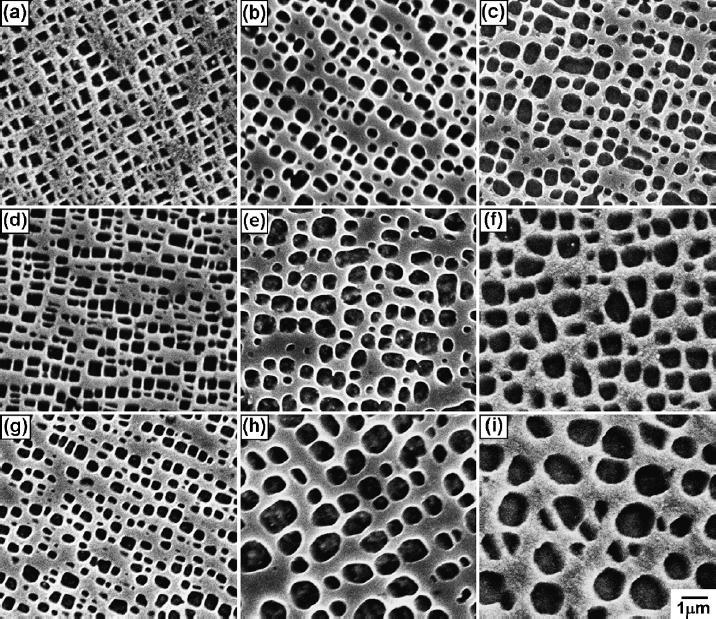 116 Pequenas partículas com alta densidade tendem a coalescer, formando partículas maiores com densidade mais baixa para reduzir a energia interfacial total (Choi et al, 2008). Figura 2.