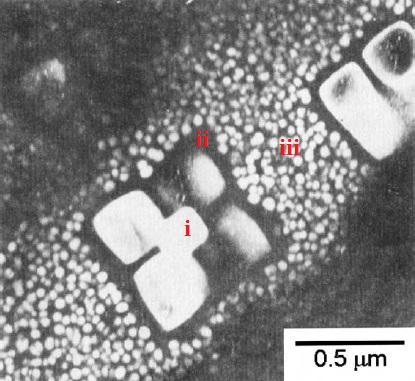 94 Figura 2.43- Microscopia eletrônica de transmissão mostrando a precipitação de γ na liga Nimonic 115 submetida a 1145ºC por 24 horas.