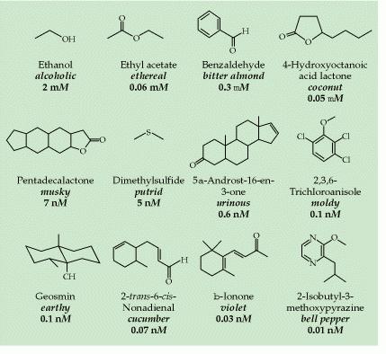 Moléculas características de Odores Foram classificadas para possibilitar o estudo de mecanismos As percebidas em baixas