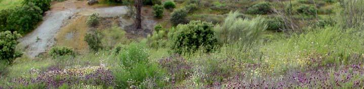 É preciso ter cuidado pois os poços têm mais de 70 m de profundidade e não têm qualquer vedação, encontrando-se totalmente envolvidos pela vegetação.