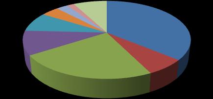 Gráfico 41: Internações por grupos nosológicos na Estabilização HS Ano 6 % 1,7 7,7 2,6 4,1 8,1 1, 23,1 Estabilização 6,6 36,1 Circulatório Causa Externa Infeccioso Respiratório Genitourinário