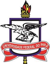 1 UNIVERSIDADE FEDERAL DO PARÁ INSTITUTO DE CIÊNCIAS DA EDUCAÇÃO PROGRAMA DE PÓS-GRADUAÇÃO EM EDUCAÇÃO MESTRADO ACADÊMICO EM