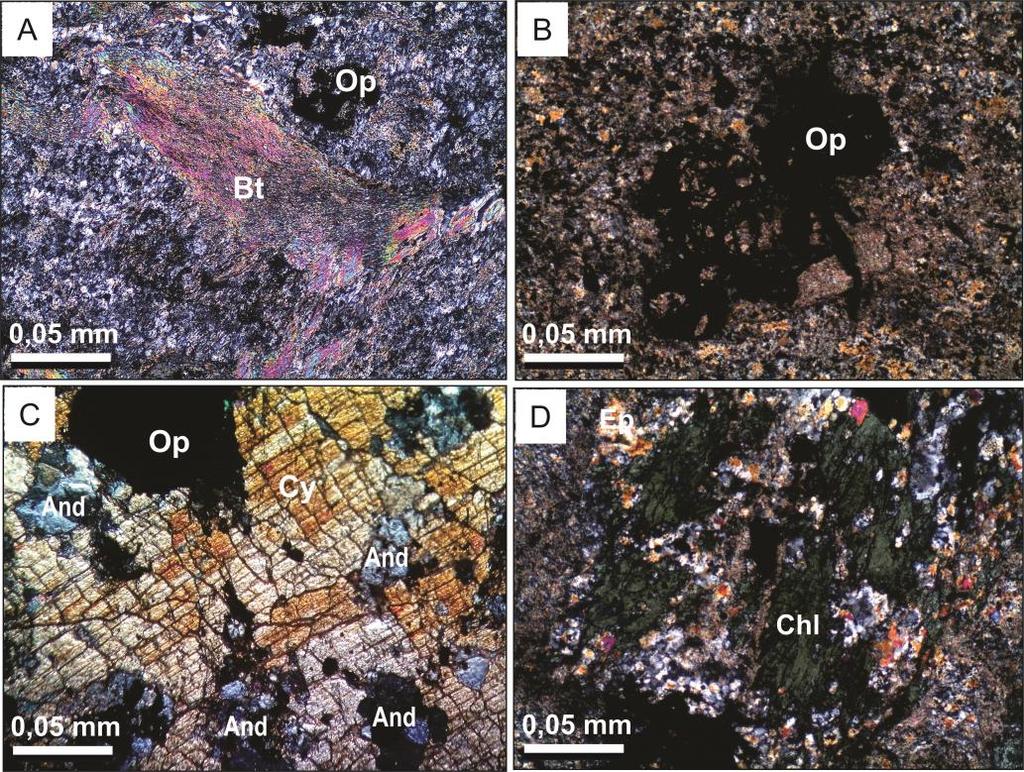 A biotita ocorre como cristais subidiomórficos, varia de 0,03 a 1,7 mm e marca a foliação da rocha. Normalmente observa-se o processo de muscovitização (Fig.