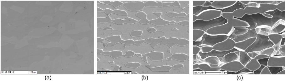 30 Figura 13: Imagens de elétrons secundários das amostras do aço UNS 31803 após ensaio de polarização potenciodinâmica em solução de 1M HCl a (a) 22 C; (b) 40 C; (c) 60 C.