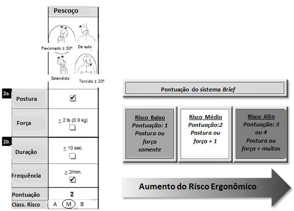 22 Após os riscos serem identificados no BRIEF determinar-se a pontuação para cada área do corpo, realizando o somatório do número de caixas marcadas.