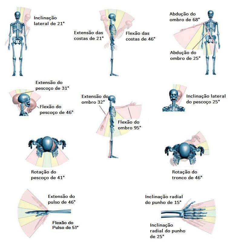 25 Figura 2 Zona de exposição dos movimentos Fonte: Weschenfelder, 2016, p. 19 apud International Journal of Industrial Ergonomics, v. 21, n. 1, p. 11-21, 1998.