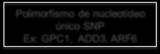 14% dos casos) Resposta imune desregulada AB