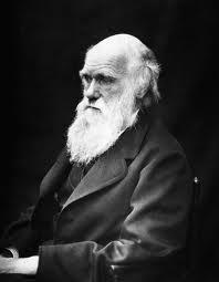 Charles Darwin (1859) - Sugeriu um período longo para que as espécies pudessem evoluir.