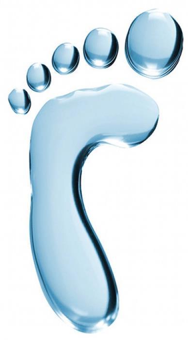 Contexto INTRODUÇÃO Pegada hídrica (PH) Volume de água total usada durante a produção e consumo