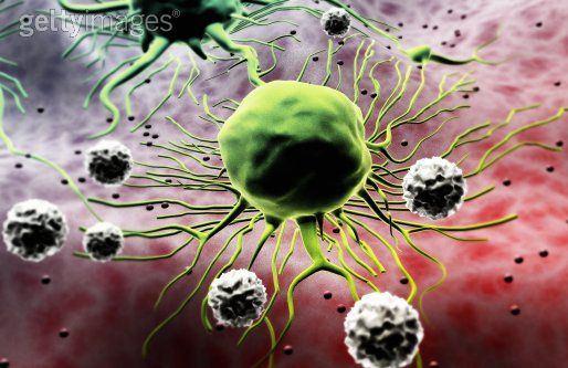 CURIOSIDADE Segundo o médico oncologista Carl Simonton células cancerígenas são tão frágeis que é quase impossível cultivá-las num tubo de ensaio.