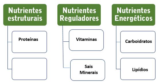 No prato que contêm somente as frutas, banana, quiwi e mexerica, pode ser