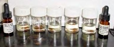 líquidos densos fórmula d diluente salmoura bromofórmio iodeto de metileno solução de Clerici (50% de formiato +