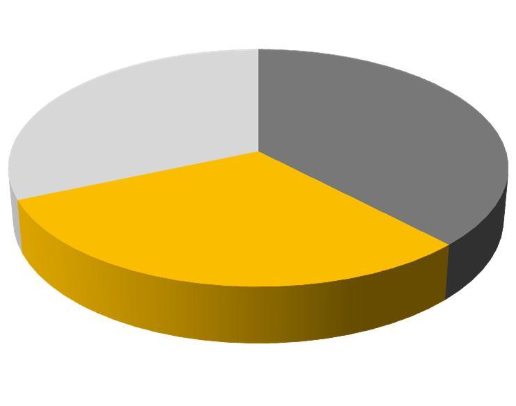 Benchmark Impactos do Abertura dos gaps por natureza 31% 38% 31% TI Compliance Processos Abertura dos gaps por setor econômico 16,21% 31,87% 20,16%