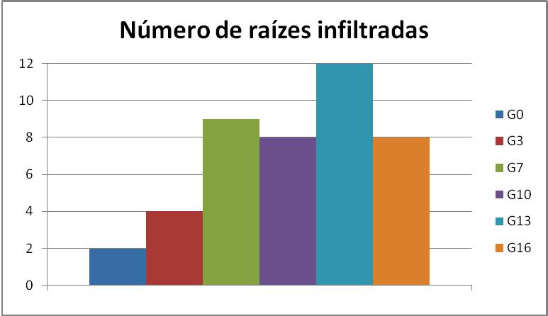 88 Tabela 31 Grupos homogêneos Grupo G0 G3 G7 G10 G13 G16 Grupos Homogêneos B AB AB B A AB De acordo com a figura 53, todos os grupos tiveram ao menos duas raízes infiltradas pelo corante.