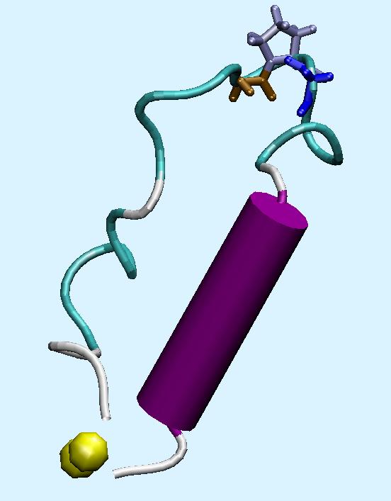 Glicina Prolina Glicina Motivo GPG Fita β α-hélice nascente Ponte Dissulfeto Figura 4 Conformação da alça V3 do HIV-1.