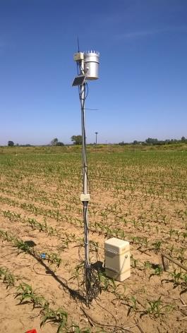 Sensores humidade do solo (sondas capacitivas a