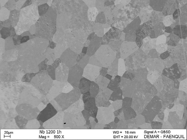 103 CAPíTULO 4 Resultados e Discussão 4.1. Tratamento térmico da barra de Nb a 1200ºC Como a barra de Nb usada já estava deformada, foi necessário fazer um tratamento térmico para sua recristalização.
