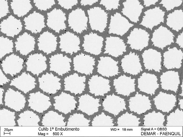 de 1,11 mm. Ampliação de 177 vezes em MEV. Fig. 4.