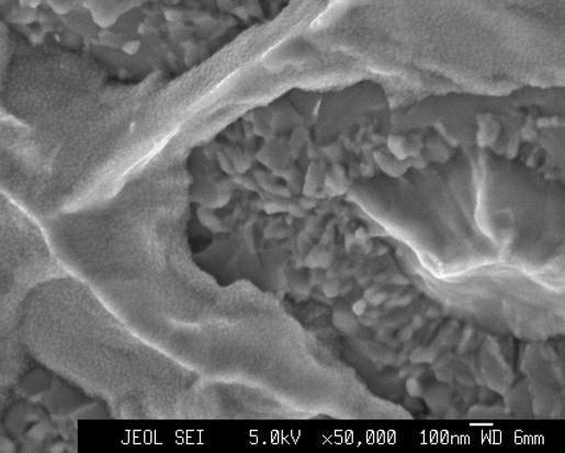 parcialmente reagidos após tratamento térmico de 500ºC/100h. Nb não reagido Fase Nb 3 Sn Fig.