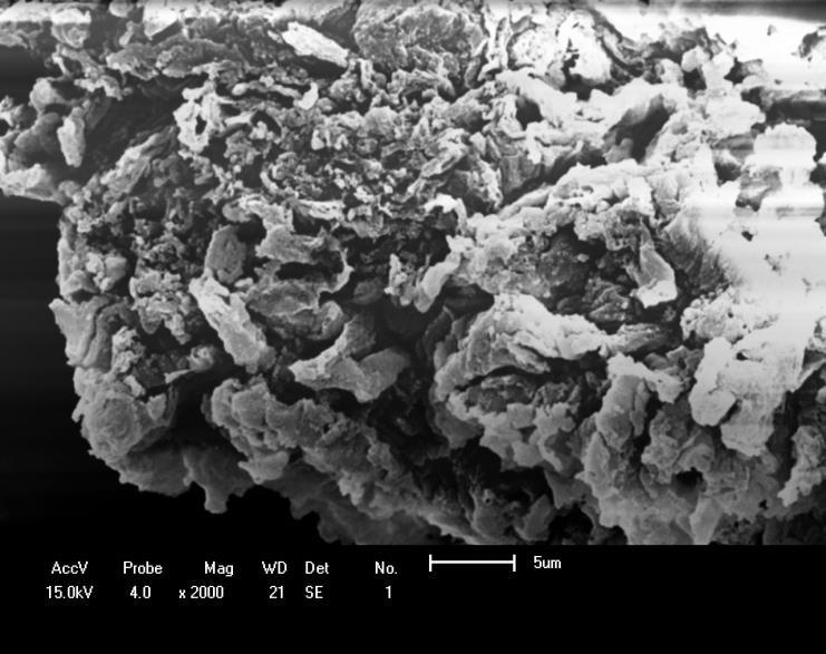 Na Figura 4 observa-se a estrutura física do adsorvente lignina residual. CAMARGO, P. D. Força verde: um novo campo para a indústria química. Rev. Bras. Eng. Quim., p. 18-21, 2005. COUTINHO, P. L. A.