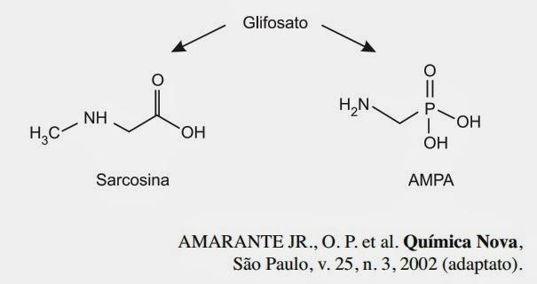 A ação desinfetante é controlada pelo ácido hipocloroso, que possui um potencial de desinfecção cerca de 80 vezes superior ao ânion hipoclorito.